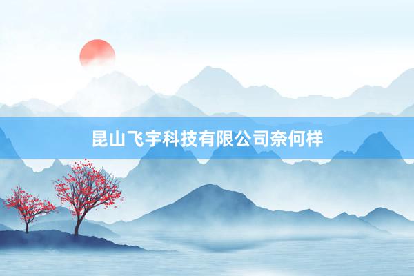 昆山飞宇科技有限公司奈何样